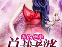 我的绝色总裁夫人,绝色总裁夫人的豪门宠爱之路