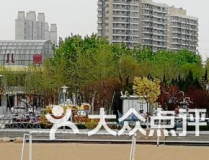 山东东营 娱乐,畅游黄河入海口的文化娱乐盛宴