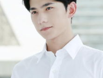 娱乐圈男的谁的大,揭秘那些令人惊艳的“大生成”奇迹
