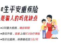 平安e生平安,全面解析一年期重疾险的保障与续保策略