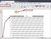 小四字体,“探讨小四号字体在文档排版中的美学与实用性”