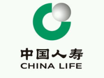 人寿保险股份,引领保险行业，构建养老金融新蓝图”