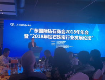珠宝大论坛,探索璀璨珠宝世界的奥秘与魅力