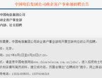 中国电信社会招聘官网,开启职业生涯新篇章，共创美好未来