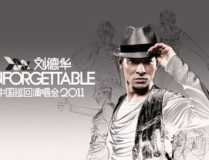 2011刘德华武汉演唱会,华仔倾情献艺，激情点燃江城